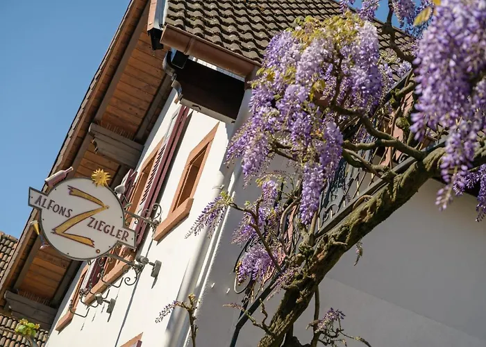 Palatinum Casa de hóspedes