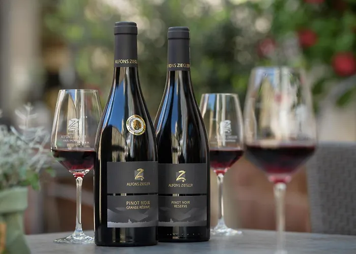 Palatinum Casa de hóspedes 3*