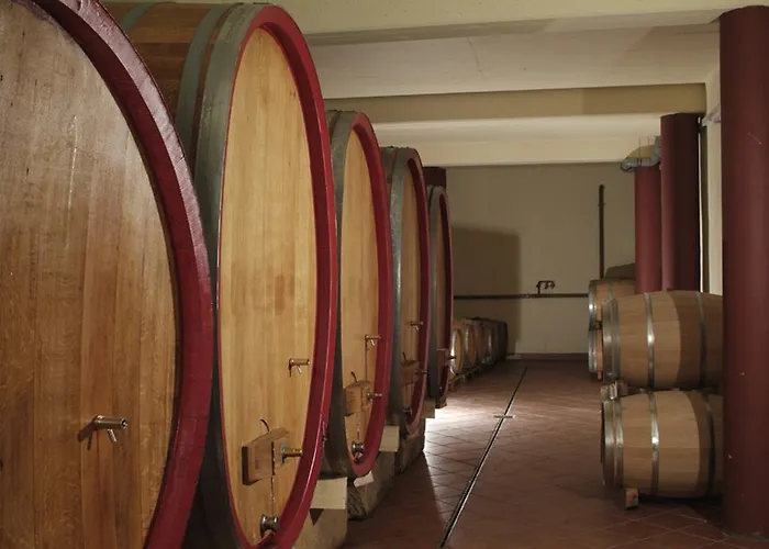 Palatinum 3* Sankt Martin